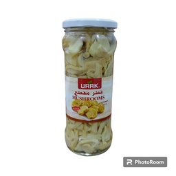 فطر زجاجي مقطع * 12